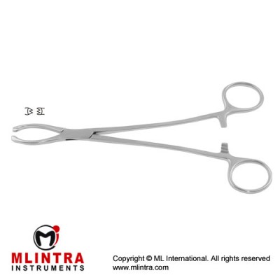 Littlewood Intestinal and Tissue Grasping Forceps Stainless Steel, 18.5 cm - 7 1/4"